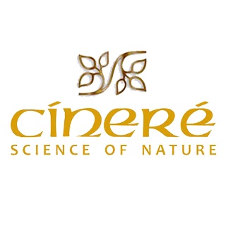 SINEREH